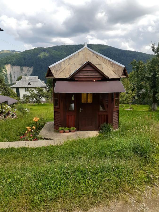 Kатруся Hotel Jaremtsje Buitenkant foto